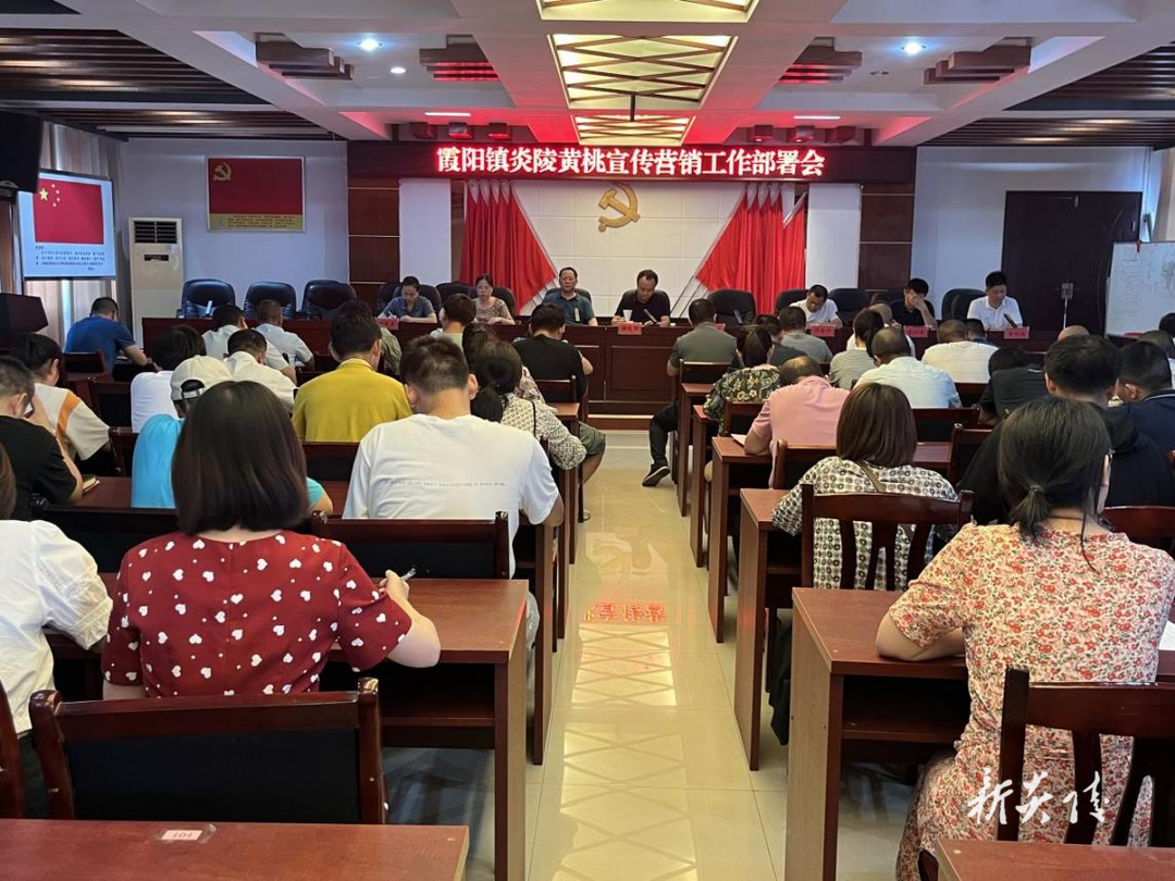 霞阳镇:全力以赴 做好黄桃销售保障工作