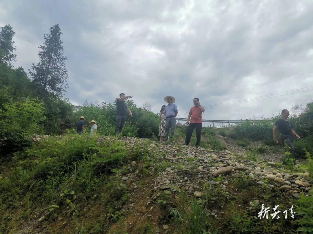 鹿原镇开展耕地“非农化”“非粮化”专项整治