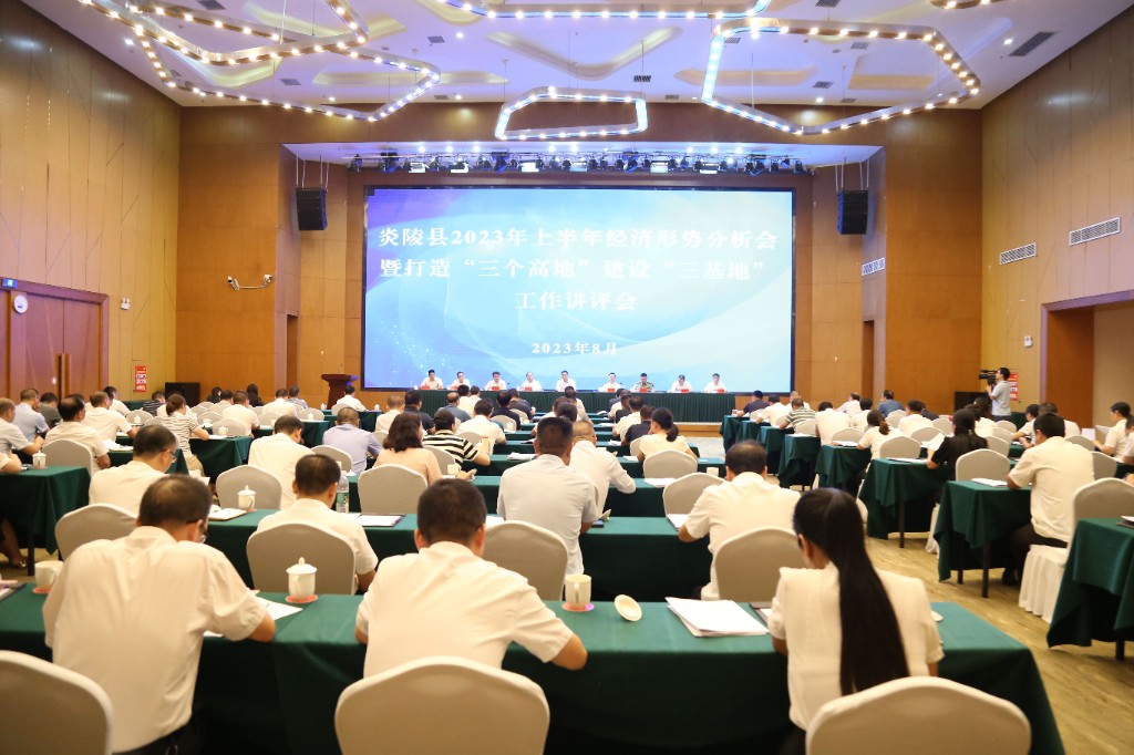 炎陵县2023年上半年经济形势分析会