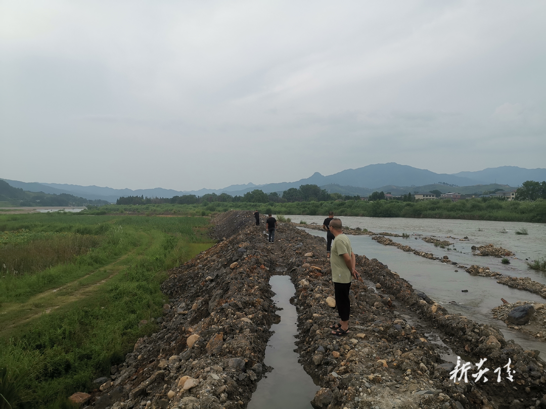 鹿原镇:全面落实“田长制”当好耕地守护者