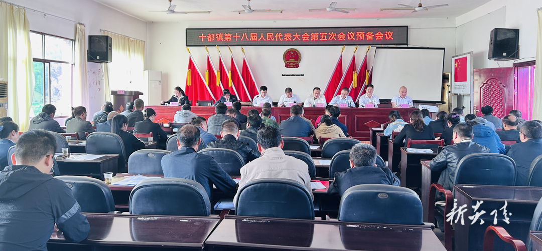 十都镇召开第十八届人民代表大会第五次会议