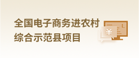 全国电子商务进农村综合示范县项目(已归档)