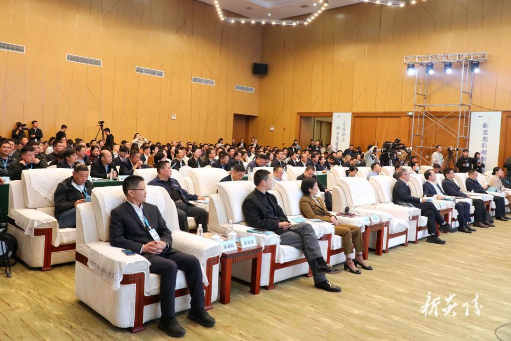 文化产业赋能乡村振兴学术论坛在炎陵举行2