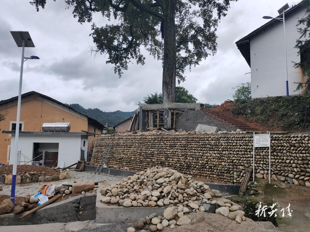 沔渡镇:打造幸福屋场 扮靓美丽乡村