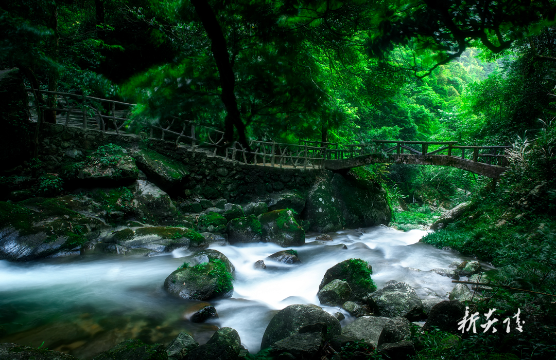 县神农谷国家森林公园被湖南省侨联评为“湖南省华侨文化交流基地”