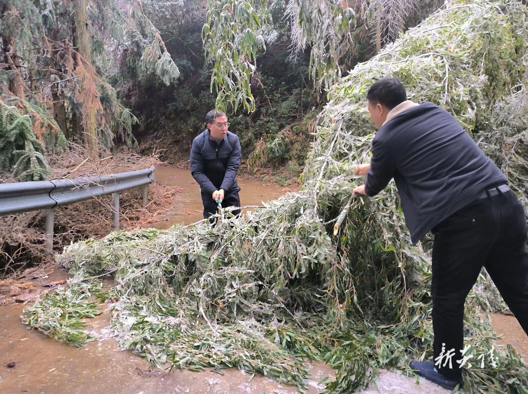 水口镇积极开展道路交通事故预防 “冬季攻势”行动