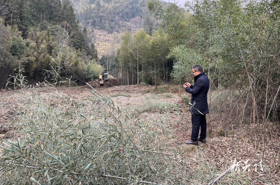 十都镇扎实推进耕地流出图斑整改工作