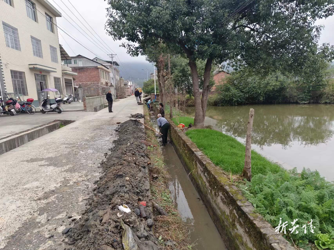 霞阳镇:抓实人居环境整治 助推和美乡村建设