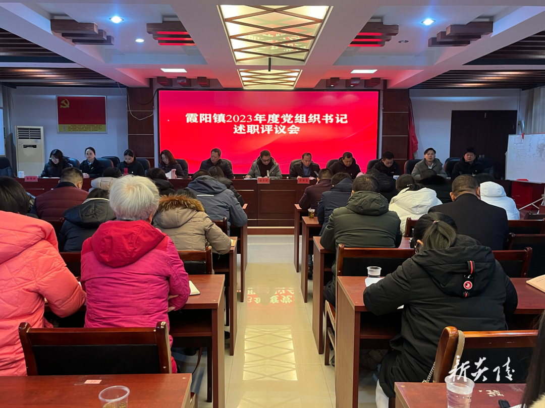 霞阳镇开展2023年度党组织书记述职评议会
