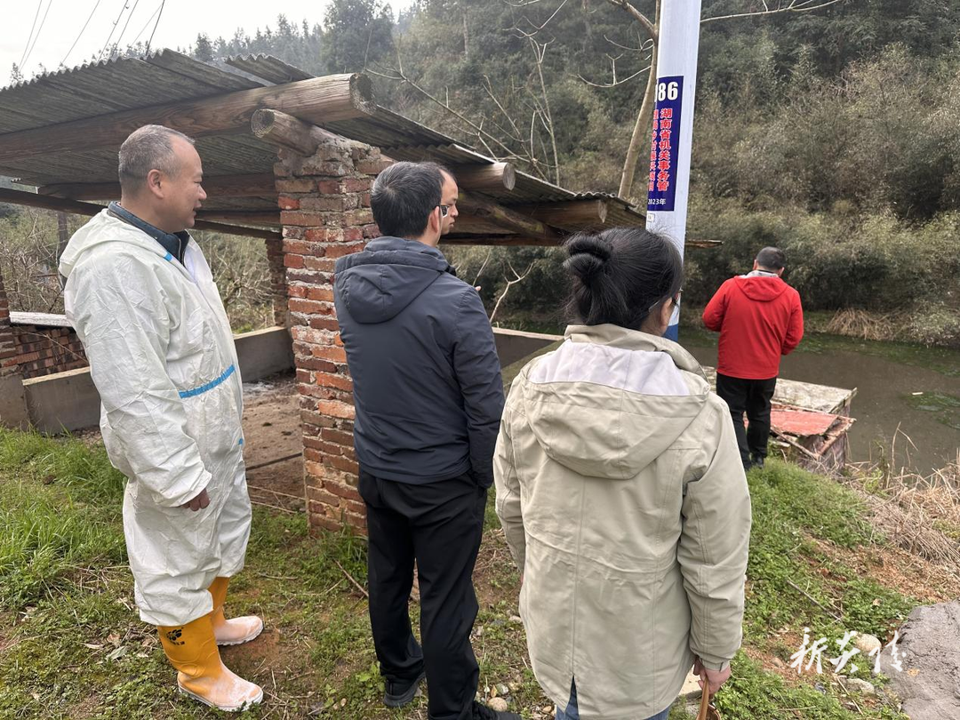 沔渡镇开展改善生态环境专项民主监督行动