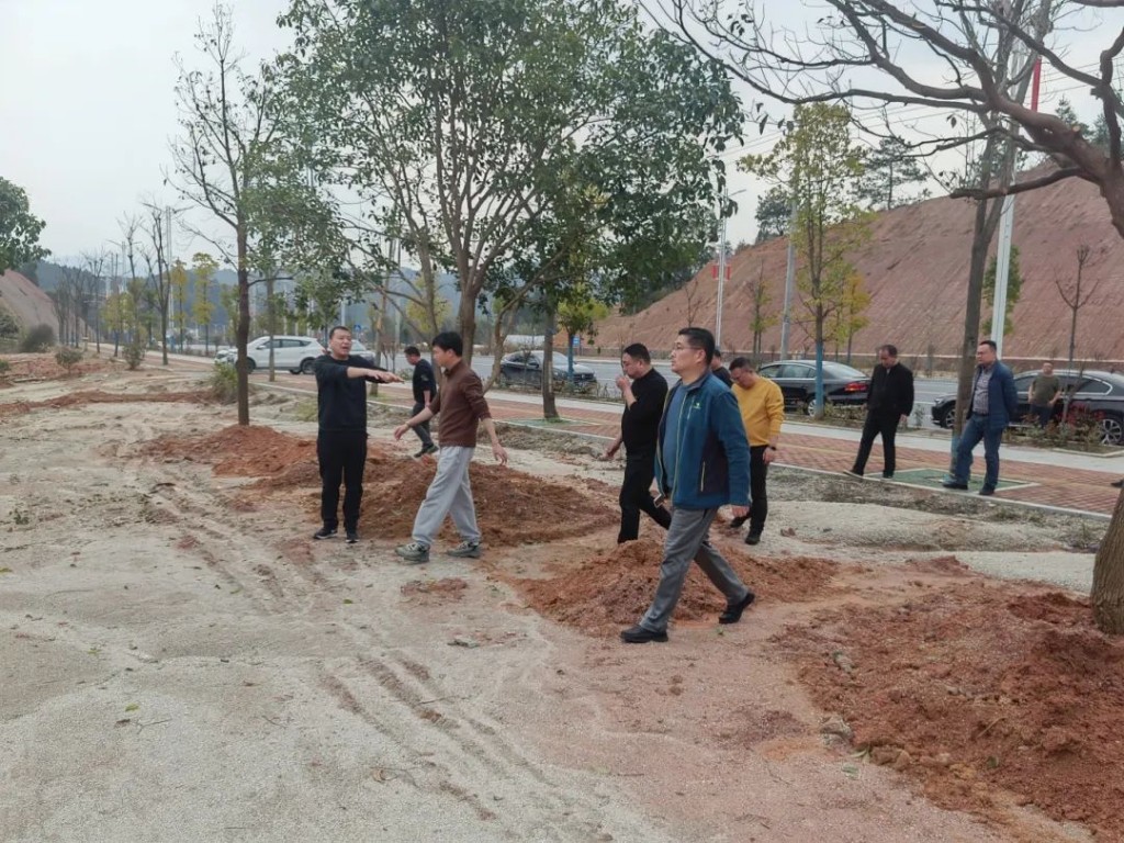 市县联合,立行立改初见成效