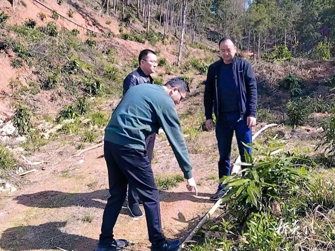 垄溪乡:主动服务 助力重大项目建设