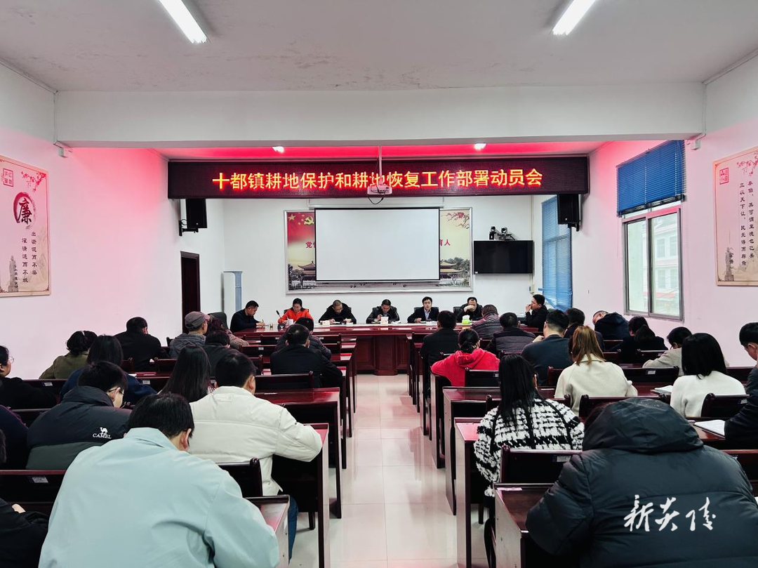 十都镇召开耕地保护和耕地恢复工作部署动员会