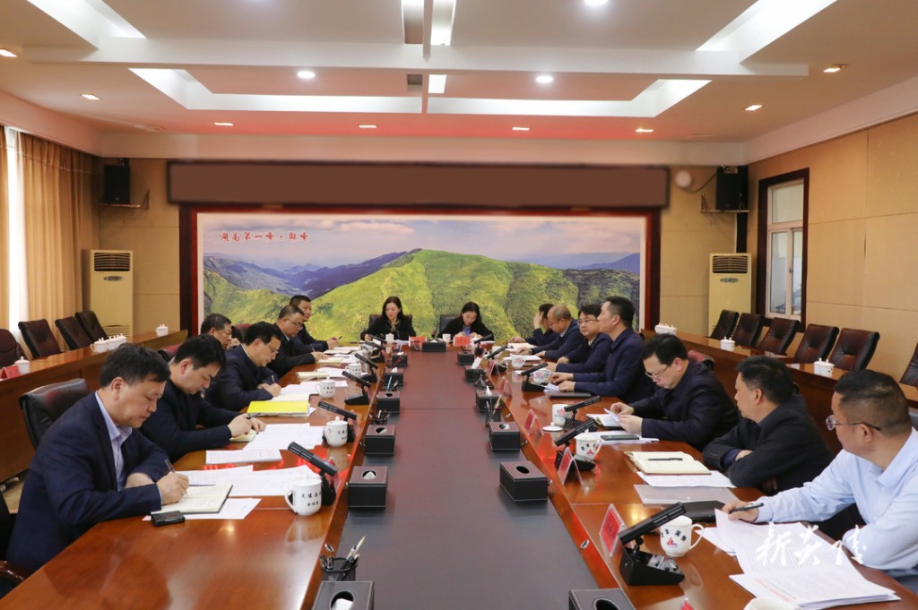 市委常委、常务副市长阳望平一行来炎调研1