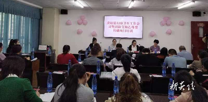 炎陵县召开2024年全县妇幼卫生工作会议