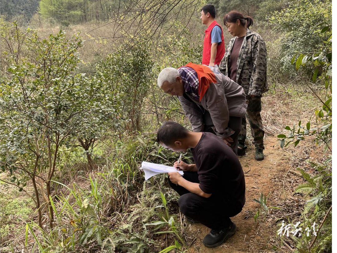 鹿原镇:坚持党建引领粮食生产 筑牢打稳粮食安全根基