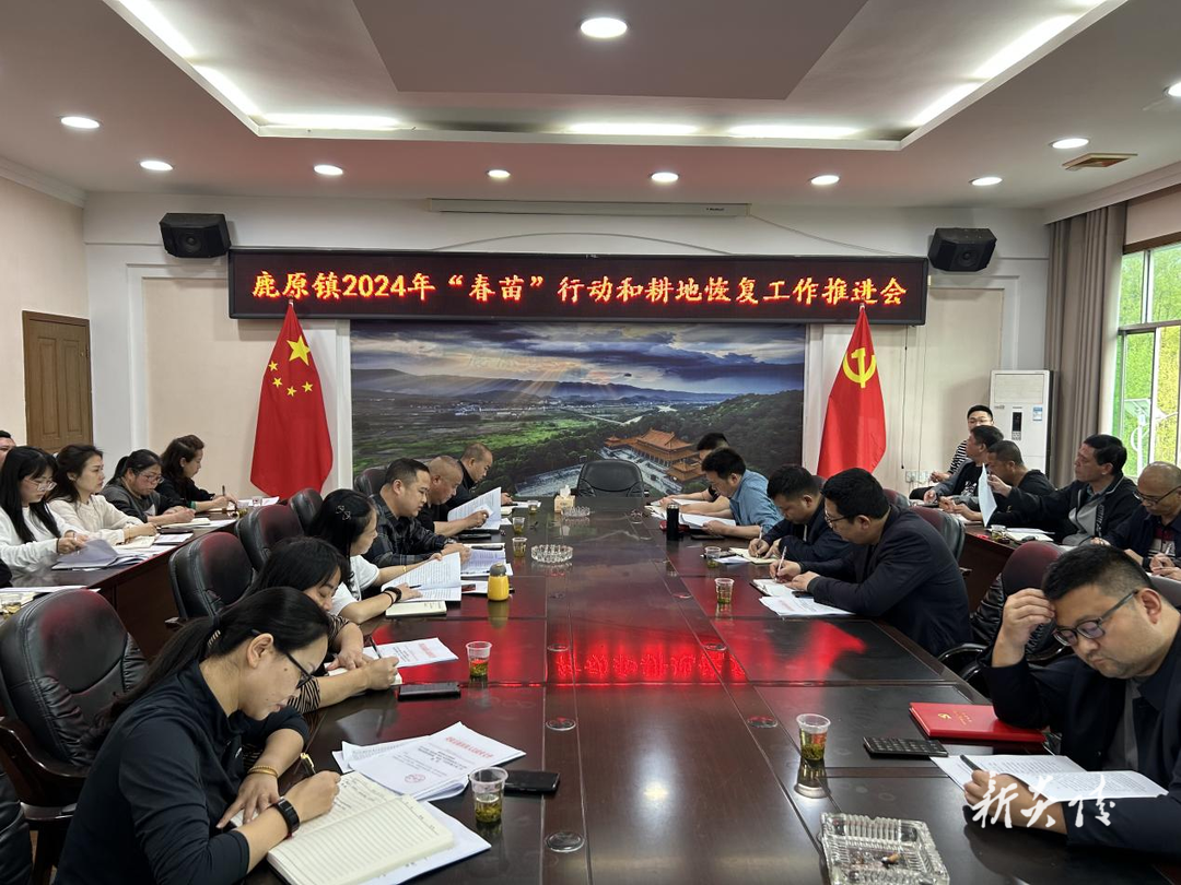 鹿原镇:深入推进耕地恢复 守牢“饭碗田”