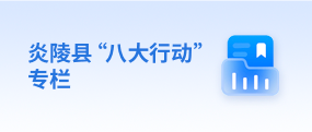 炎陵县“八大行动”专栏(已归档)