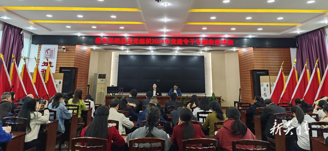 炎陵县召开教育系统党建专干、宣传专干专题业务培训