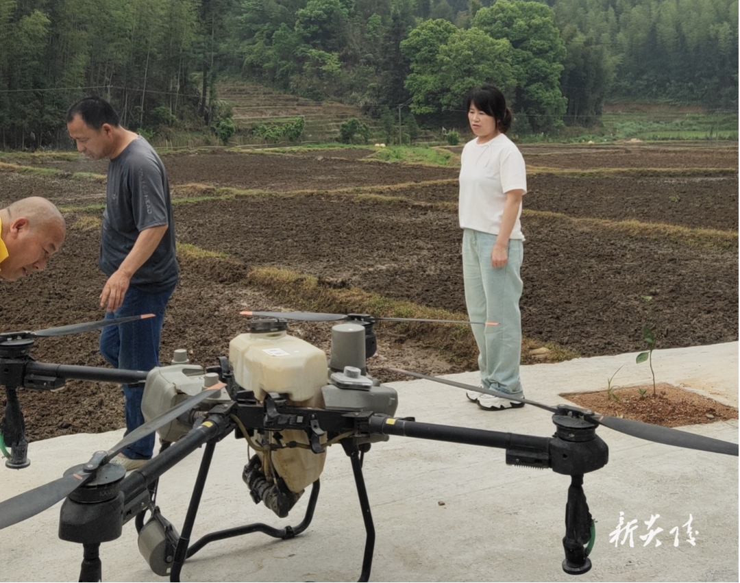 沔渡镇:深入推进耕地恢复 端牢粮食安全饭碗