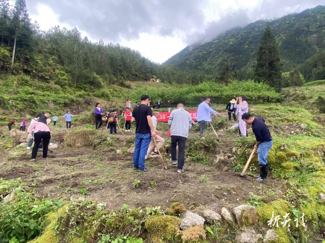 下村乡开展耕地恢复“春苗行动”志愿者活动