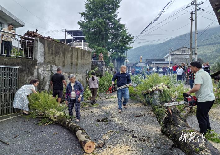 鹿原镇:清理危树除隐患 安全护行解民忧
