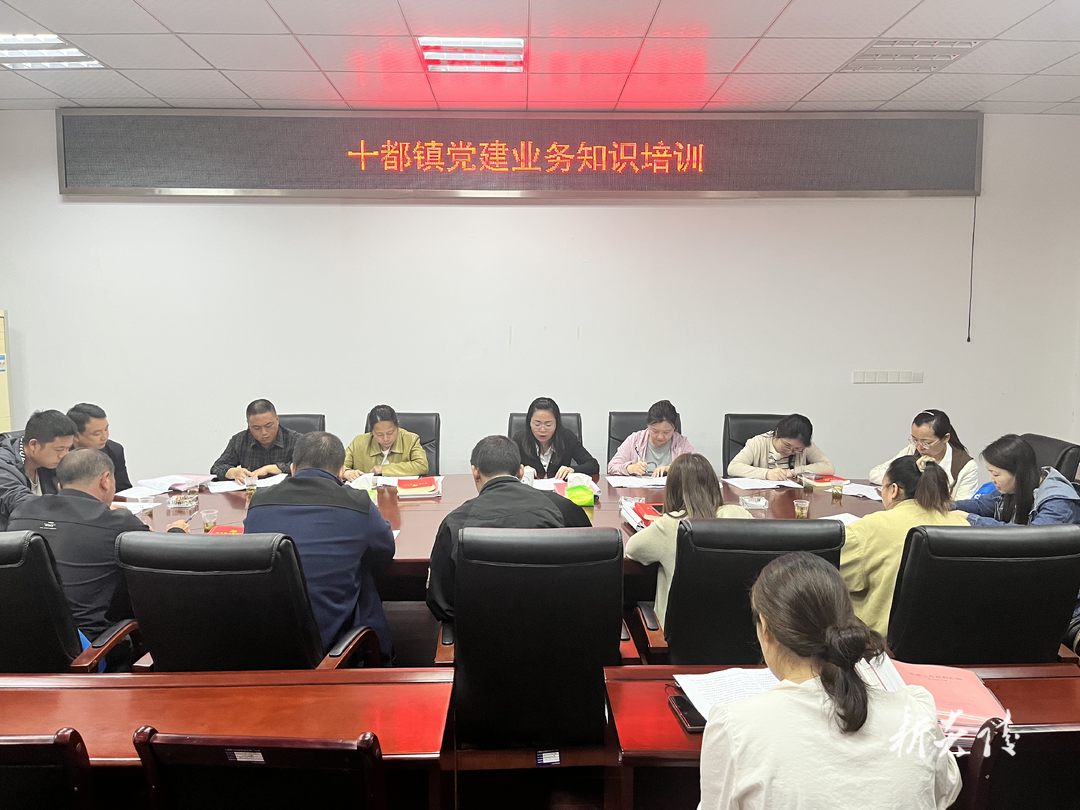 十都镇:充电赋能强动力 党务培训促提升