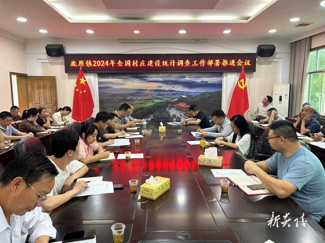鹿原镇扎实推进2024年全国村庄建设统计调查工作