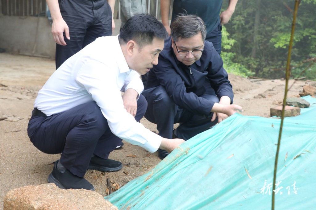 尹朝晖到十都、大院、策源等乡镇(场)督导生态环境保护工作