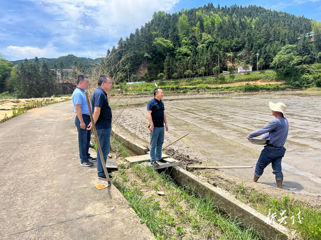 垄溪乡:打好粮食生产“主动战”