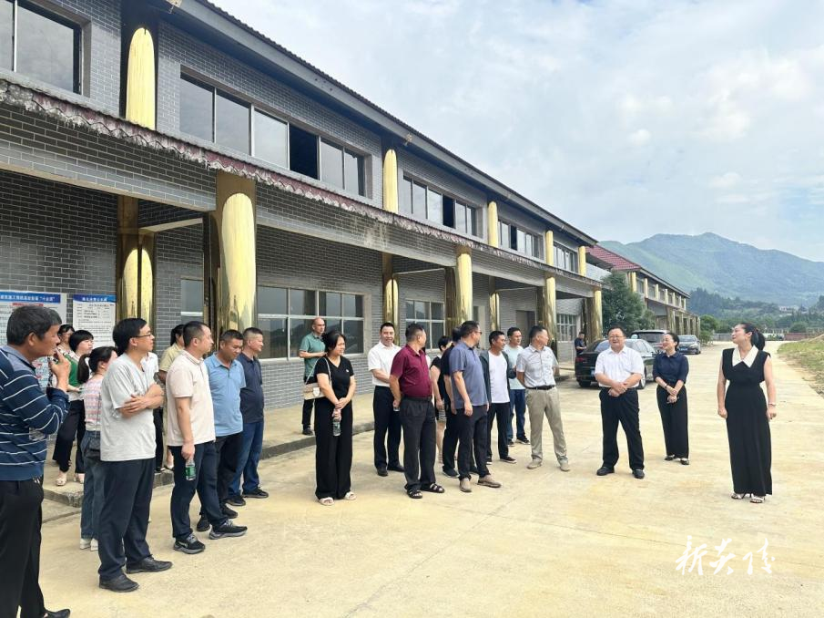 霞阳镇人大主席团开展“法治护企人大行”活动