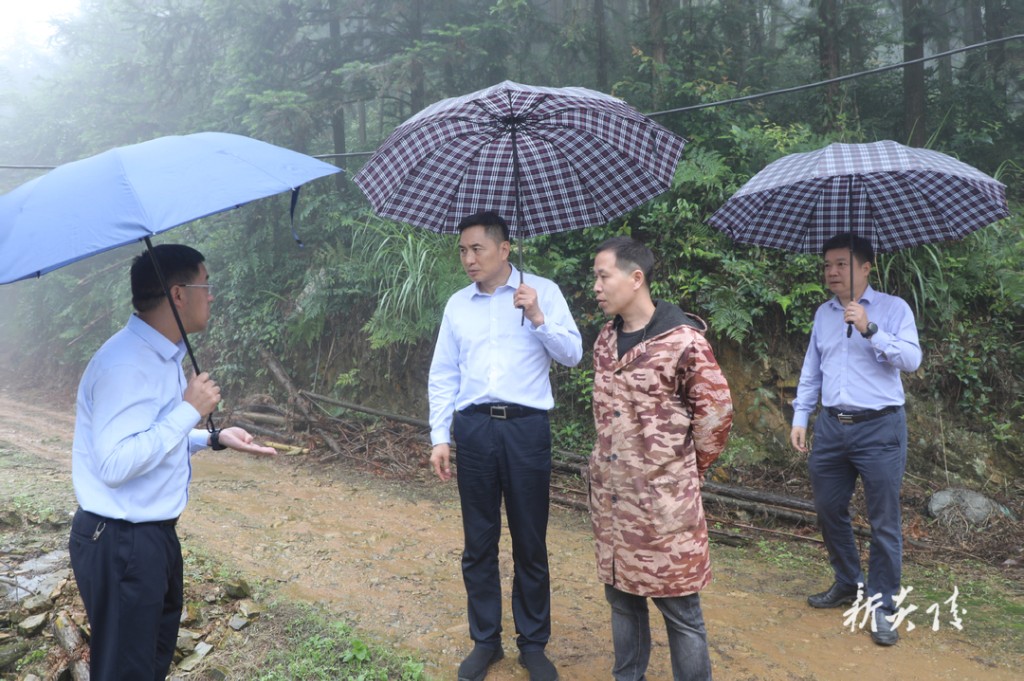 尹朝晖到水口镇督导生态环境保护工作
