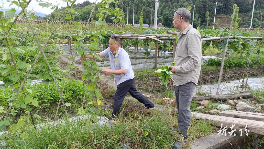 霞阳镇:积极开展农残检测 让群众吃上“放心菜”1