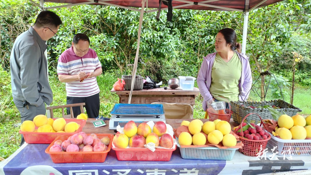 霞阳镇:积极开展农残检测 让群众吃上“放心菜”2