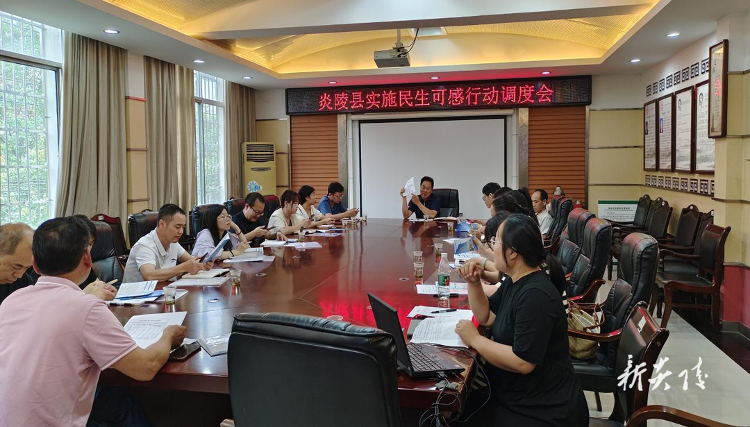 炎陵县召开民生可感行动工作调度会