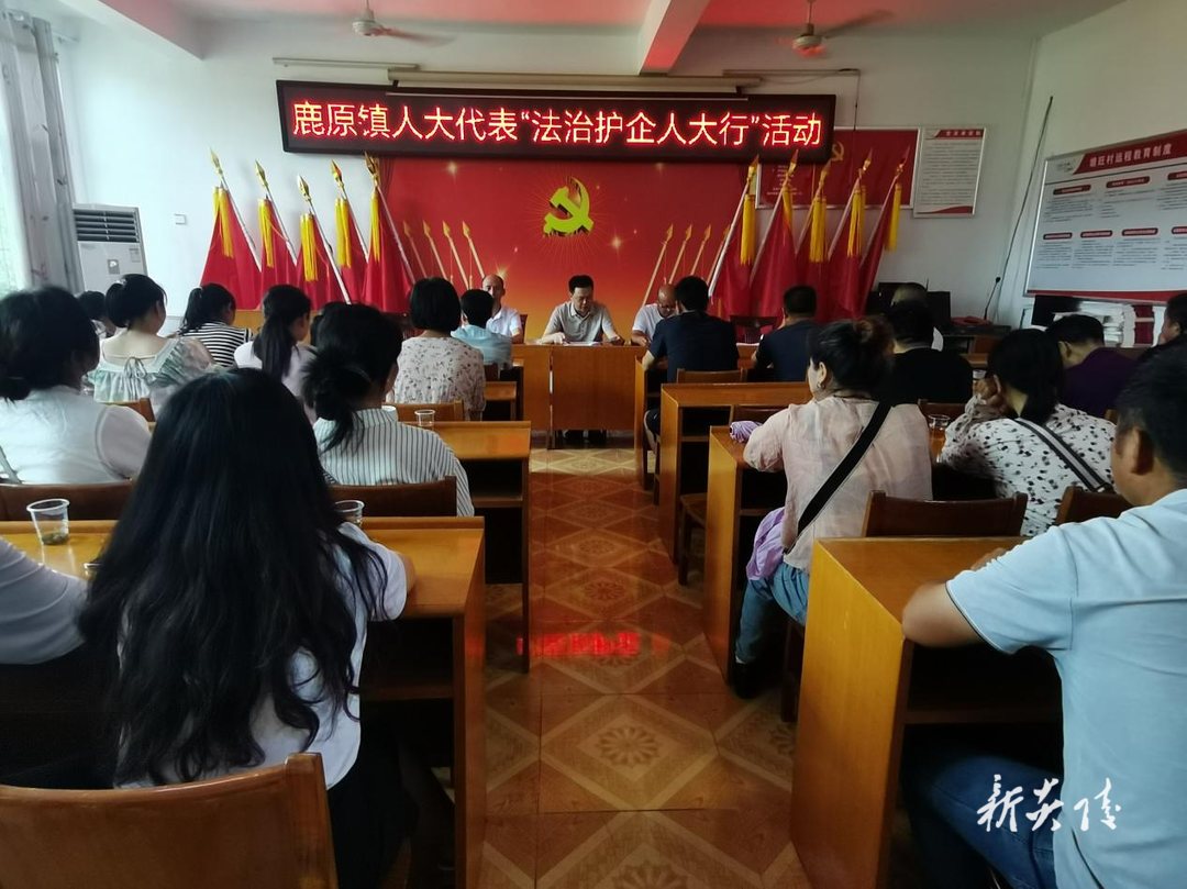 鹿原镇:代表视察提效率 法治护企显担当