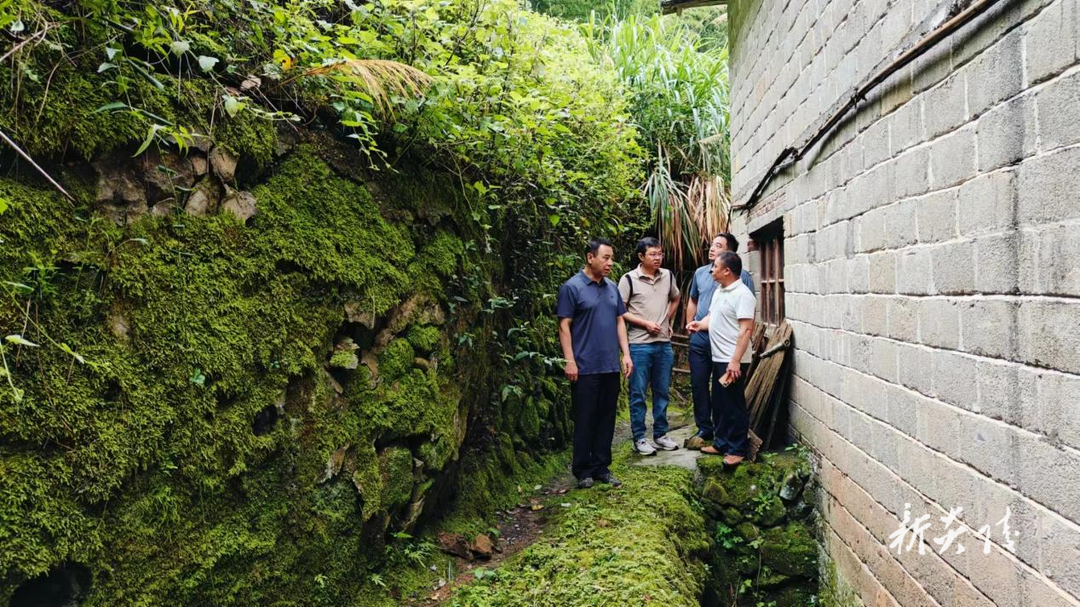 沔渡镇:人大代表“助”牢防汛“安全提”