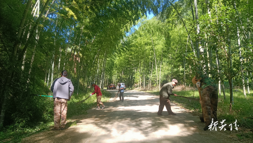 大院农场开展“美化环境清洁家园”志愿活动