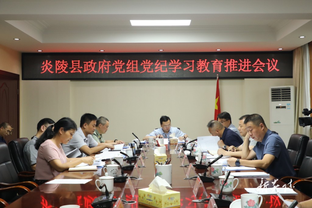 夏胜利主持召开县政府党组党纪学习教育推进会议