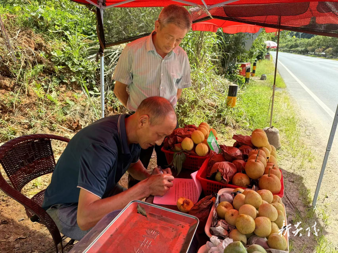 霞阳镇:道路安全不放松 护航黄桃销售与旅游旺季