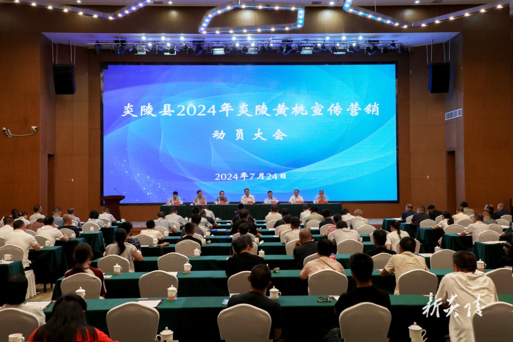 炎陵县2024年炎陵黄桃宣传营销动员大会召开