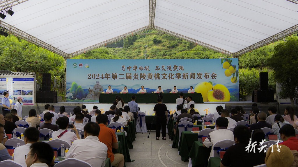 第二届炎陵黄桃文化季新闻发布会召开