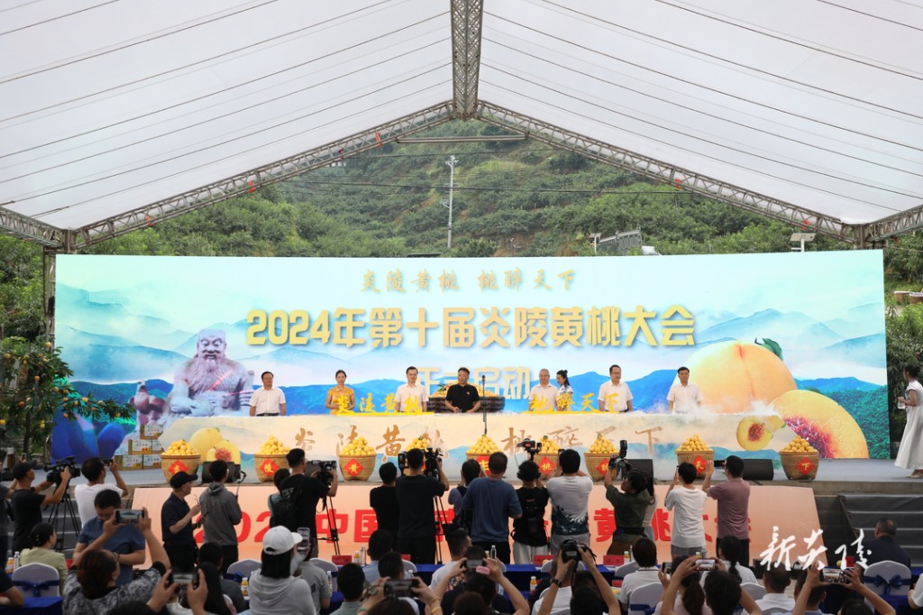 2024年第十届炎陵黄桃大会在中村瑶族乡举行