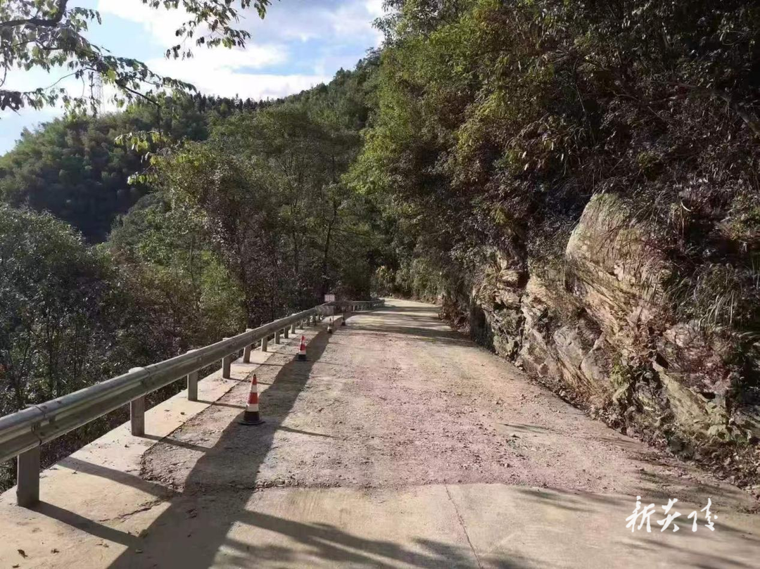 保路畅 助力炎陵黄桃销售1