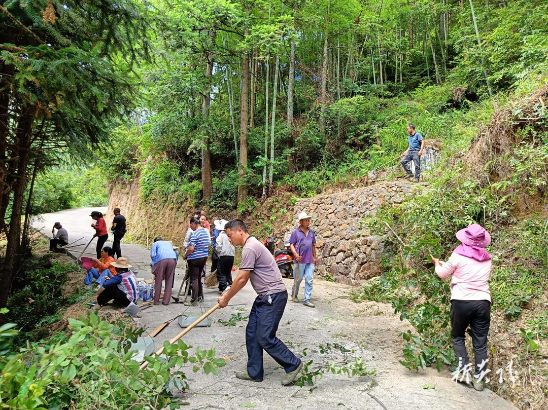 下村乡:党员群众齐上阵 砍青除障助通行