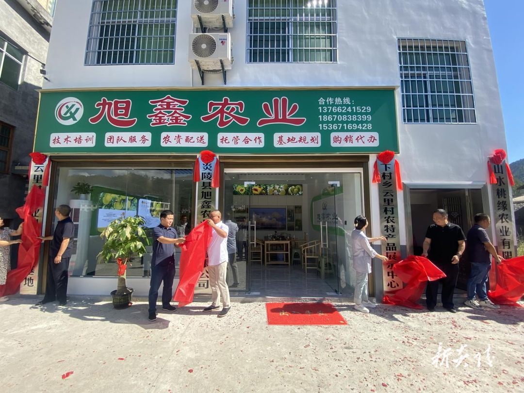 下村乡:旭鑫农业为乡村振兴注入新活力