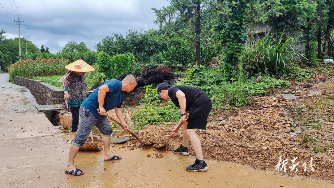 水口镇:闻令而动 人大代表筑牢防汛“安全墙”
