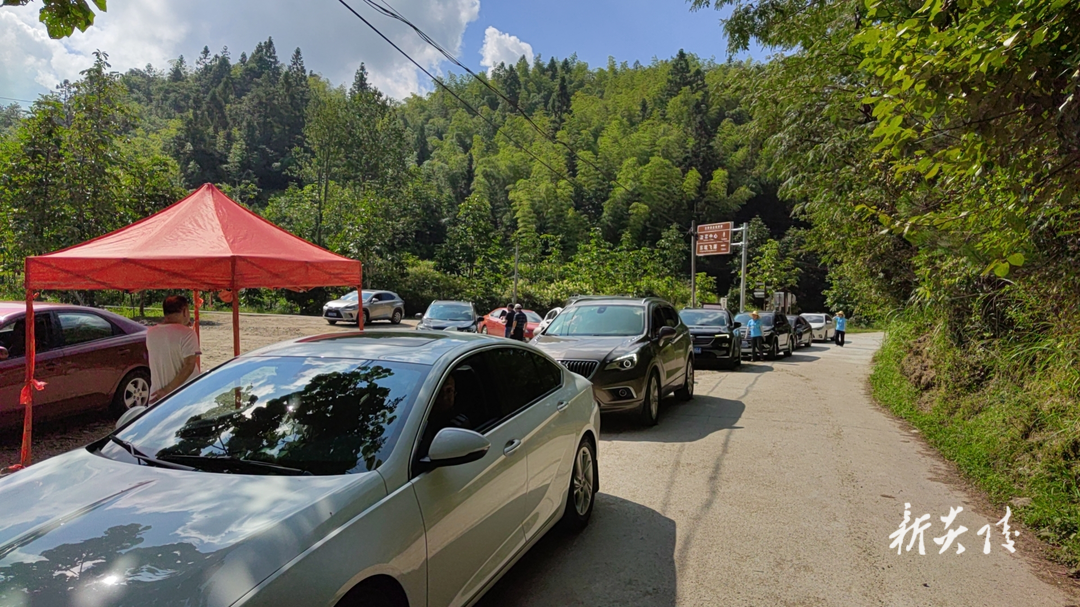 大院农场:夏日里的“守望者”