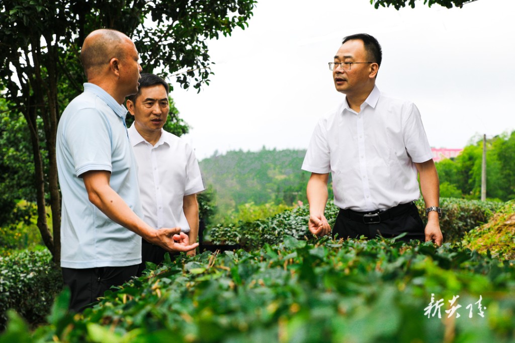 何恩广来炎调研1