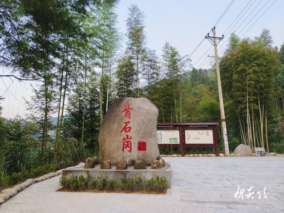 十都镇: 提“笔”上“色” 用心绘就和美乡村新画卷